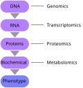 Thumbnail for File:Omics-en.svg