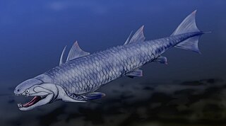 <i>Psarolepis</i> Extinct genus of fishes