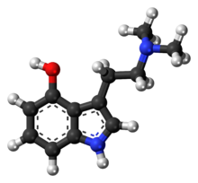 Image illustrative de l’article Psilocine