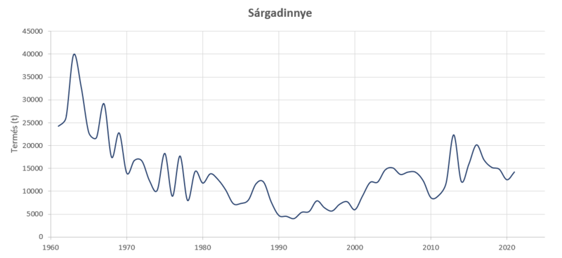 Sárgadinnye