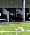 Paddock with horses getting ready for the next race