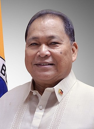 <span class="mw-page-title-main">Wendel Avisado</span> Filipino lawyer and politician