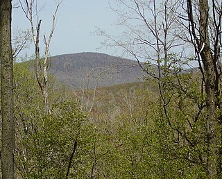 <span class="mw-page-title-main">Greenfield Township, Blair County, Pennsylvania</span> Township in Pennsylvania, United States