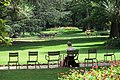 Chaises et fauteuils au jardin du Luxembourg.