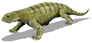 <i>Ennatosaurus</i> Extinct genus of synapsids