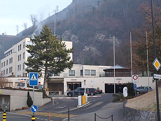 <span class="mw-page-title-main">COVID-19 pandemic in Liechtenstein</span>