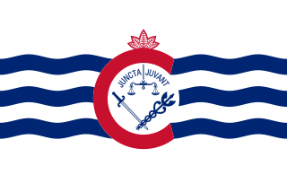 <span class="mw-page-title-main">Flag of Cincinnati</span>