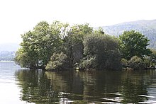 Inchgalbraith, on the west side of Loch Lomond, was the stronghold of early recorded Galbraiths. Inchgalbraith, Loch Lomond.jpg