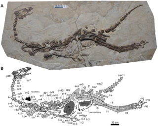 <i>Jianchangosaurus</i> Extinct genus of dinosaurs