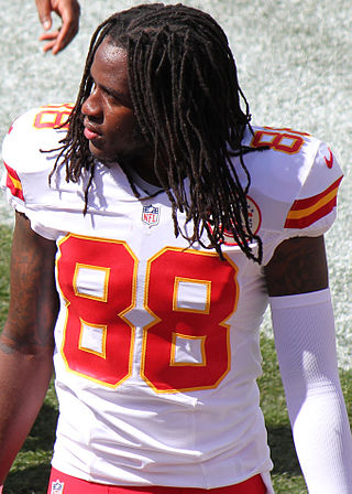 <span class="mw-page-title-main">Junior Hemingway</span> American football player (born 1988)