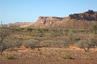 <span class="mw-page-title-main">Carnarvon xeric shrublands</span> Terrestrial ecoregion in Western Australia