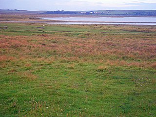 <span class="mw-page-title-main">Loch Gruinart</span>