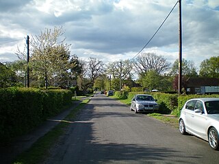 <span class="mw-page-title-main">Chichester to Silchester Way</span> Roman road in England