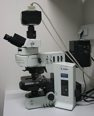 <span class="mw-page-title-main">Fluorescence microscope</span> Optical microscope that uses fluorescence and phosphorescence