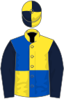 Yellow and royal blue (quartered), dark blue sleeves, yellow and dark blue quartered cap