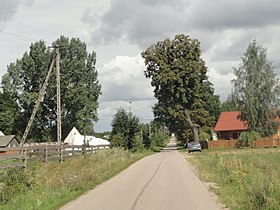 Płudnica