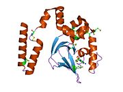 PDB 1q5o EBI.jpg