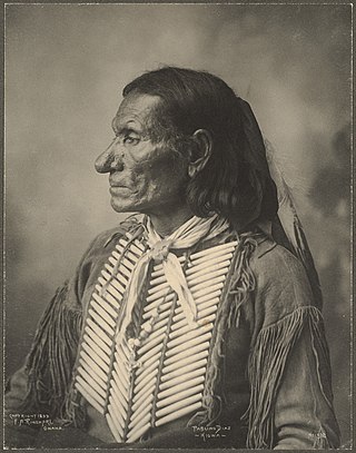 <span class="mw-page-title-main">Hair pipe</span> Elongated bead popular with American Indians