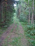 A view from Hämeen Härkätie, Häme Oxen Road, an old road from Hämeenlinna to former capital Turku dating back to the 9th century