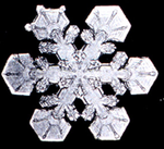 A snowflake. Snowflake4.png