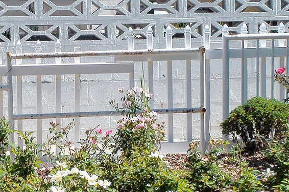 A metal fence near flowers at a temple.