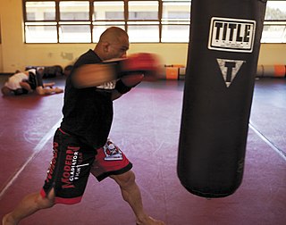 <span class="mw-page-title-main">Punching bag</span> Type of exercise equipment