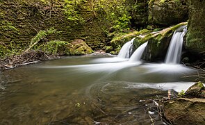 Waldbillig (LU), Schiessentümpel -- 2015 -- 6020