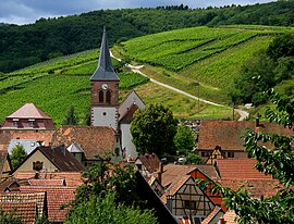 A general view of Albé and surrounding vineyards