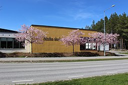 Alsike skola