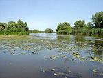 Astrakhan, Volga Delta