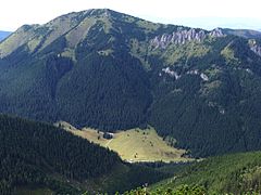 Bobrovec (Západní Tatry)