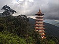The temple's pagoda