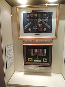 A Selection of War Medals