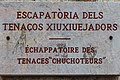 Escapatòria dels tenacos xiuxiuejadors