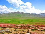 Deosai-Nationalpark