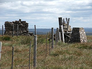 <span class="mw-page-title-main">Great Knoutberry Hill</span> Mountain in the Yorkshire Dales, England