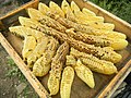 Beekeeping in Lesbos