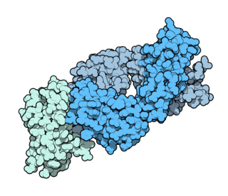 <span class="mw-page-title-main">Ipilimumab</span> Pharmaceutical drug