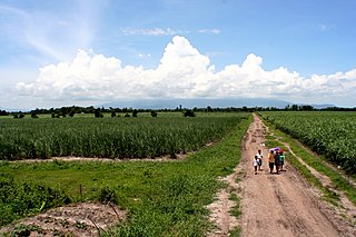 <span class="mw-page-title-main">Sugar industry of the Philippines</span>