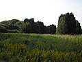 View north across the large field