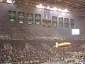 Flag and banners of Panathinaikos.