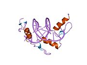 PDB 1jk2 EBI.jpg