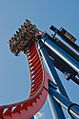 Dive coaster SheiKra w parku Busch Gardens Tampa, USA