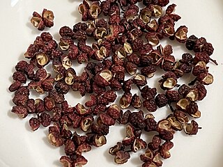 <span class="mw-page-title-main">Sichuan pepper</span> Chinese spice