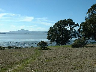 Point Pinole Regional Shoreline