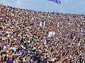 Ultras Fiorentina y Curva Fiesole del Franchi, (a elwir hefyd yn Tifosi yn yr Eidal)