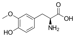 3-<i>O</i>-Methyldopa Chemical compound