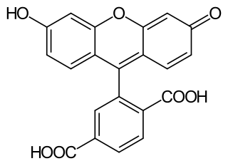 <span class="mw-page-title-main">6-Carboxyfluorescein</span> Chemical compound