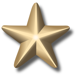 <sup>5</sup><small>/</small><sub>16</sub> inch star Award