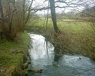 <span class="mw-page-title-main">Blackburn Brook</span> Stream in Sheffield, South Yorkshire, England